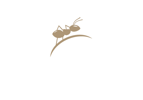 Et La Fourmi - restaurant NANTES