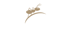 Et la Fourmi